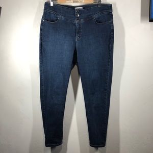 lane bryant venezia jeggings